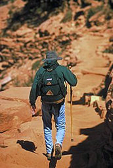 USA-Arizona-Grand Canyon Rim-to-Rim Hiker